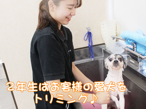 夏休みもトリミング実習♪